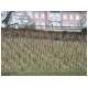 Berchtold_24.html