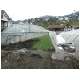 Berchtold_25.html