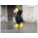 Berchtold_39.html