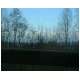 Fabach_Goegl_36.html