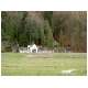 Gruber_34.html